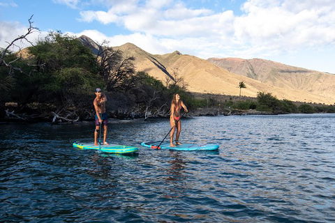 Stand Up Paddle Boarding Hire - Hotel Accommodation 2