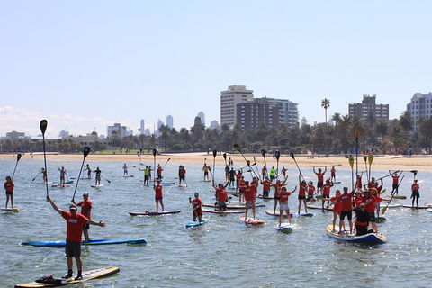 Stand Up Paddle Boarding Hire - Hotel Accommodation 5