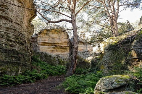 Explore Blue Mountains: 4WD Adventure 1 Day Tour With Local Guide - Hotel Accommodation 5