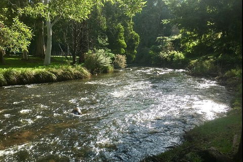 Watertube Experience In Yarra River - Hotel Accommodation 3