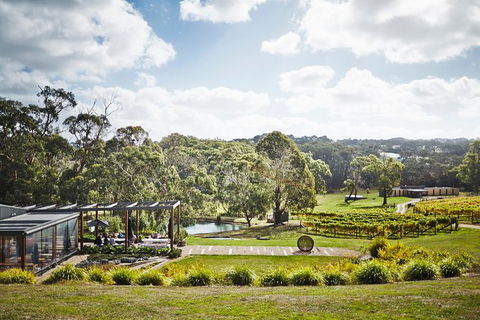 Mornington Peninsula 2-6 Guests Lunch Rare Hare Or Merricks General Wine Store - Hotel Accommodation 3