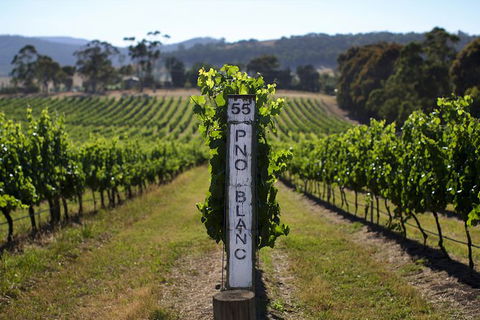 Mornington Peninsula 2-6 Guests Lunch Rare Hare Or Merricks General Wine Store - Hotel Accommodation 5