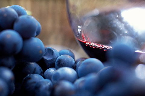 Mornington Peninsula Premium 2-6 Guests Lunch At Merricks General Wine Store - Hotel Accommodation 7