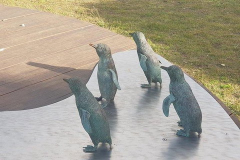 Phillip Island Penguin And Wildlife Tour - Hotel Accommodation 14