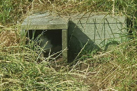Phillip Island Penguin And Wildlife Tour - Hotel Accommodation 11