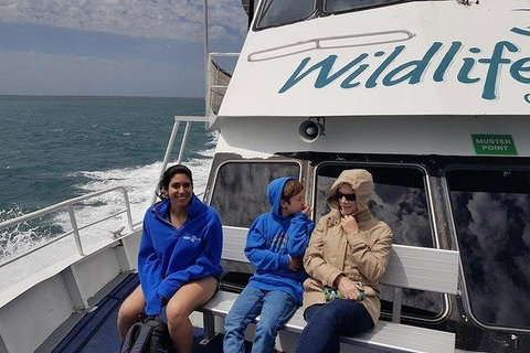 Phillip Island Penguin And Wildlife Tour - Hotel Accommodation 15