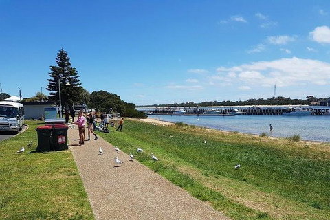 Phillip Island Penguin And Wildlife Tour - Hotel Accommodation 25