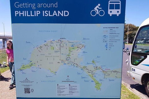 Phillip Island Penguin And Wildlife Tour - Hotel Accommodation 28