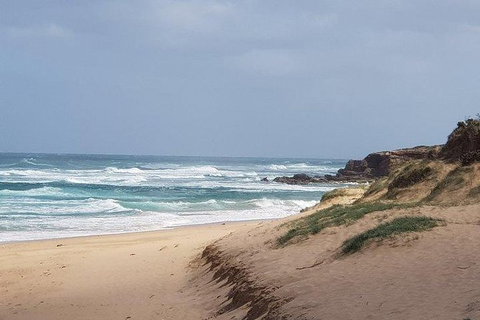 Phillip Island Penguin And Wildlife Tour - Hotel Accommodation 10