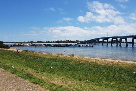 Phillip Island Penguin And Wildlife Tour - Hotel Accommodation 24
