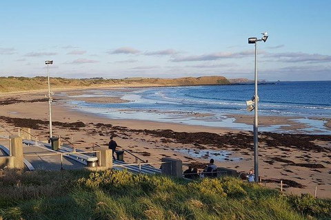 Phillip Island Penguin And Wildlife Tour - Hotel Accommodation 8