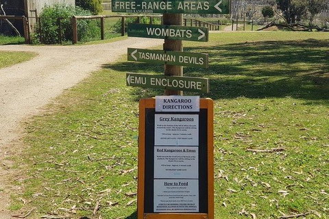 Phillip Island Penguin And Wildlife Tour - Hotel Accommodation 4
