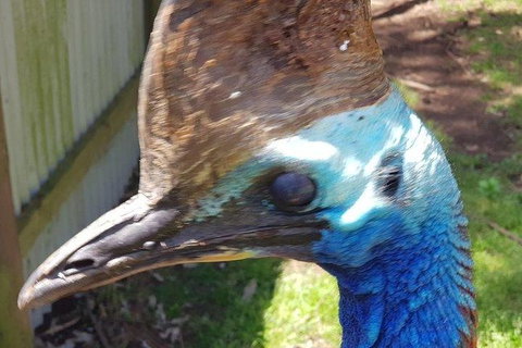 Phillip Island Penguin And Wildlife Tour - Hotel Accommodation 19