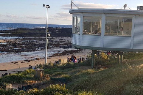 Phillip Island Penguin And Wildlife Tour - Hotel Accommodation 33