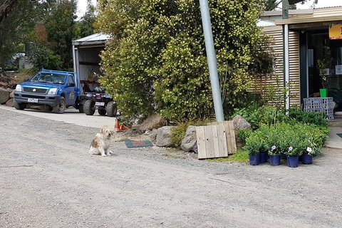 Yarra Valley Wineries And Rayners Orchard Tour From Melbourne - Hotel Accommodation 8