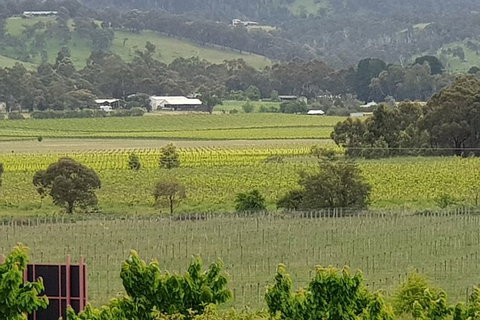 Yarra Valley Wineries And Rayners Orchard Tour From Melbourne - Hotel Accommodation 2