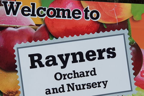 Yarra Valley Wineries And Rayners Orchard Tour From Melbourne - Hotel Accommodation 9