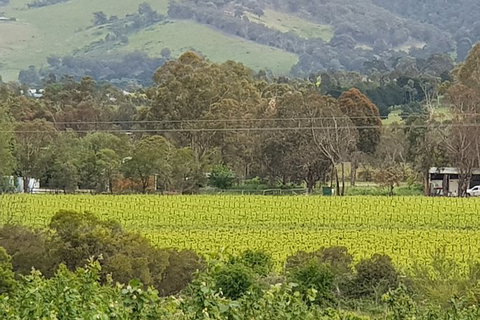Day Tour Of Yarra Valley Puffing Billy And Rayners Orchard - Hotel Accommodation 44