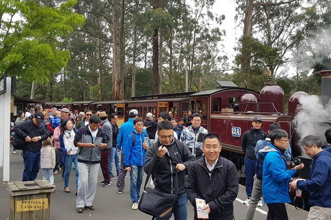 Day Tour Of Yarra Valley Puffing Billy And Rayners Orchard - Hotel Accommodation 3