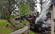 Day Tour Of Yarra Valley Puffing Billy And Rayners Orchard - thumb 14
