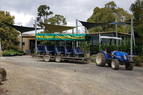 Day Tour Of Yarra Valley Puffing Billy And Rayners Orchard - Hotel Accommodation 7