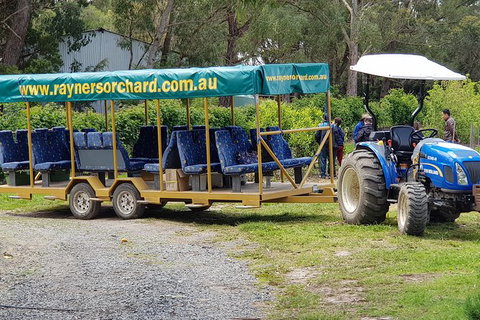 Day Tour Of Yarra Valley Puffing Billy And Rayners Orchard - Hotel Accommodation 48