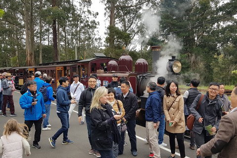 Day Tour Of Yarra Valley Puffing Billy And Rayners Orchard - Hotel Accommodation 18