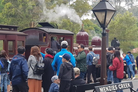 Day Tour Of Yarra Valley Puffing Billy And Rayners Orchard - Hotel Accommodation 40