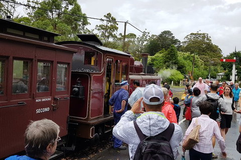 Day Tour Of Yarra Valley Puffing Billy And Rayners Orchard - Hotel Accommodation 23