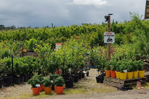 Day Tour Of Yarra Valley Puffing Billy And Rayners Orchard - Hotel Accommodation 46