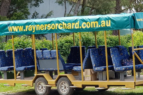 Day Tour Of Yarra Valley Puffing Billy And Rayners Orchard - Hotel Accommodation 33