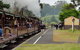 Day Tour Of Yarra Valley Puffing Billy And Rayners Orchard - thumb 0