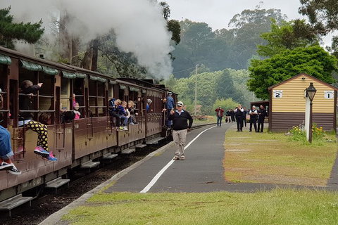 Day Tour Of Yarra Valley Puffing Billy And Rayners Orchard - Hotel Accommodation 0
