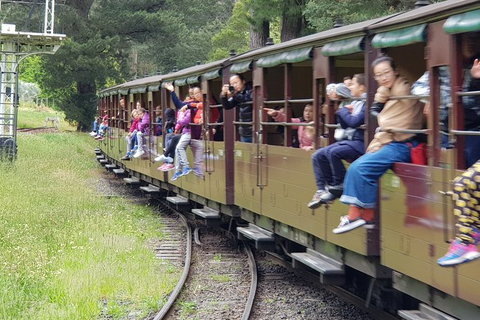 Day Tour Of Yarra Valley Puffing Billy And Rayners Orchard - Hotel Accommodation 13