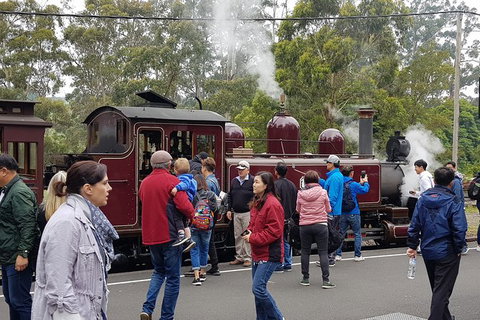 Day Tour Of Yarra Valley Puffing Billy And Rayners Orchard - Hotel Accommodation 4