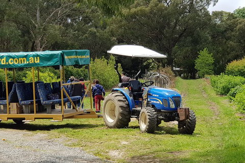 Day Tour Of Yarra Valley Puffing Billy And Rayners Orchard - Hotel Accommodation 25