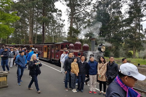 Day Tour Of Yarra Valley Puffing Billy And Rayners Orchard - Hotel Accommodation 9