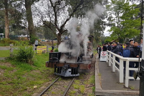 Day Tour Of Yarra Valley Puffing Billy And Rayners Orchard - Hotel Accommodation 43