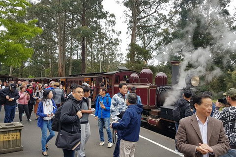 Day Tour Of Yarra Valley Puffing Billy And Rayners Orchard - Hotel Accommodation 12