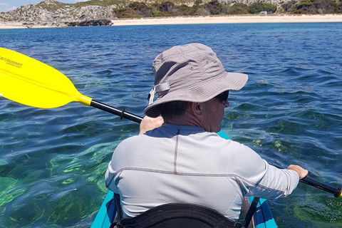 Rottnest Glass Bottom Kayaking Tour - Hotel Accommodation 1