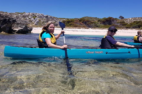 Rottnest Glass Bottom Kayaking Tour - Hotel Accommodation 2
