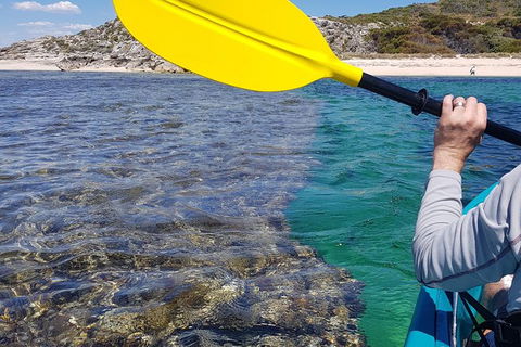 Rottnest Glass Bottom Kayaking Tour - Hotel Accommodation 3