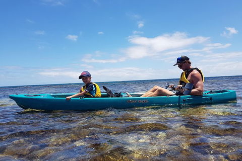 Rottnest Glass Bottom Kayaking Tour - Hotel Accommodation 5