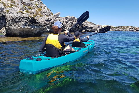 Rottnest Glass Bottom Kayaking Tour - Hotel Accommodation 4