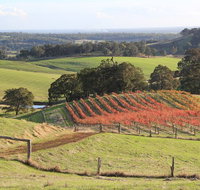 Ferguson Valley full day tour - Hotel Accommodation