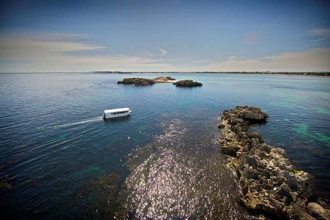 Penguin Island Tour - Hotel Accommodation 2