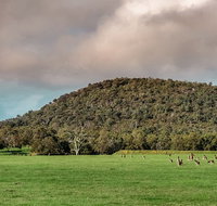 Baldwins Bluff Guided Hike - Hotel Accommodation