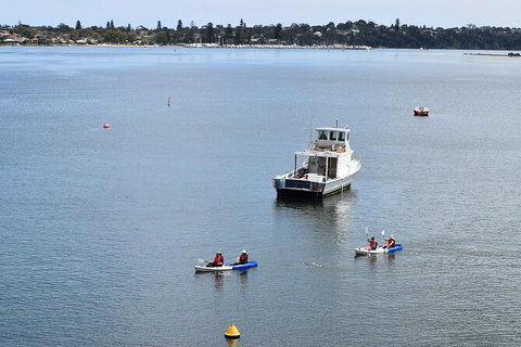 Cliffs And Caves Kayak Tour In Swan River - Hotel Accommodation 5
