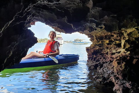 Cliffs And Caves Kayak Tour In Swan River - Hotel Accommodation 3