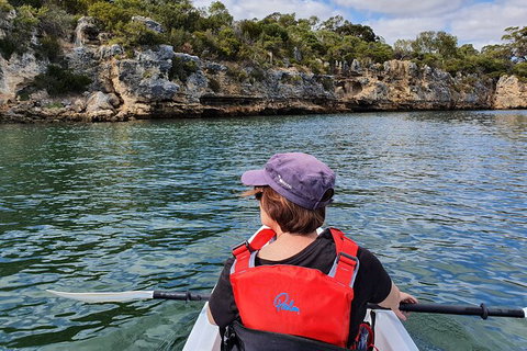 Cliffs And Caves Kayak Tour In Swan River - Hotel Accommodation 1